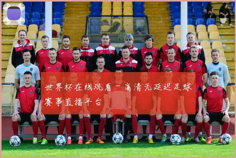 世界杯在线观看 - 高清无延迟足球赛事直播平台