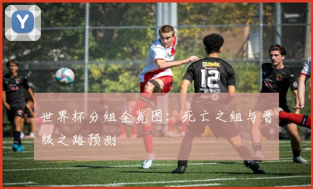 世界杯分组全览图：死亡之组与晋级之路预测